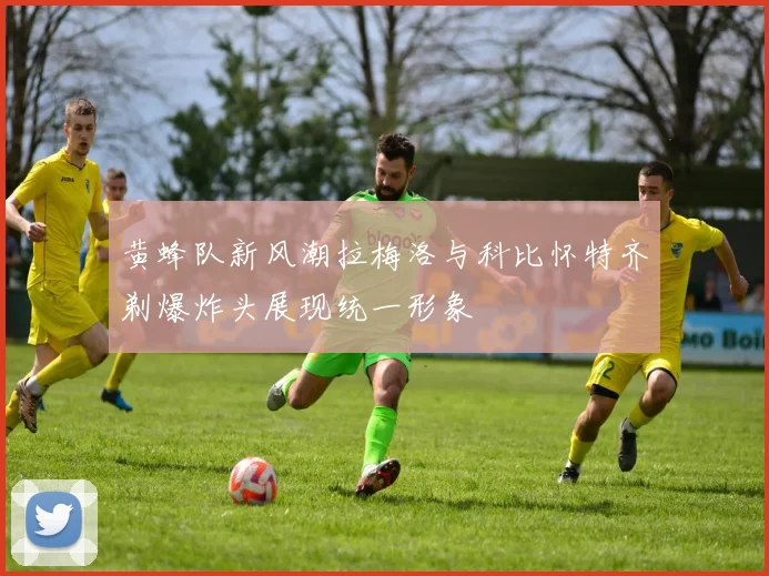 黄蜂队新风潮拉梅洛与科比怀特齐剃爆炸头展现统一形象